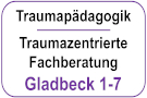 Traumapädagogik / Traumazentrierte Fachberatung: Module 1-7 (Grundlagen)